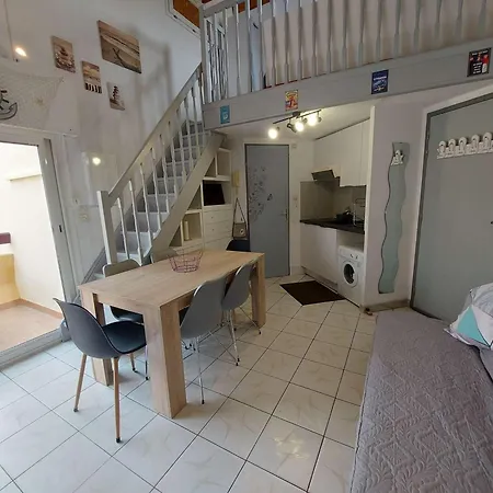 2 Pieces Meuble Avec Mezzanine Et Terrasse, Acces Direct A La Plage, Parking Inclus - Fr-1-326-798 Apartmán